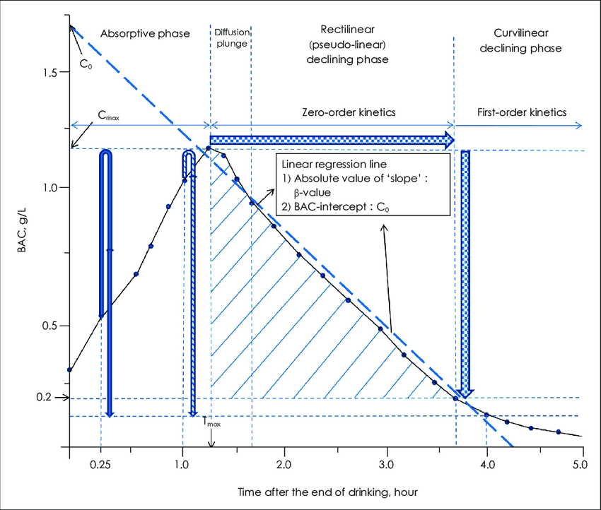 Schematic-BAC-time-plot-showing-the-metabolism-of-blood-alcohol-BAC-blood-alcohol